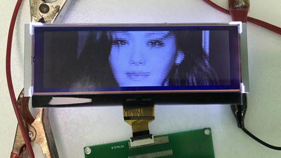 lcd module .jpg