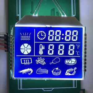 Blue Segment LCD