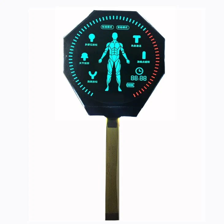 VA Negative White On Black Segment LCD Display